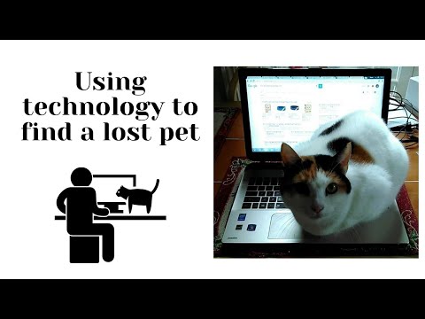วีดีโอ: Lost Pet Tech: เปรียบเทียบปลอกคอแมวและสุนัข