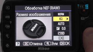 Обзор Nikon D3100(Видеообзор младшей зеркальной камеры в линейке Nikon -- D3100. Сравнить цены: http://hotline.ua/tx/nikon_d3100_kit_18-55mm_vr/?catspot=4&sitespo., 2011-02-02T08:36:49.000Z)