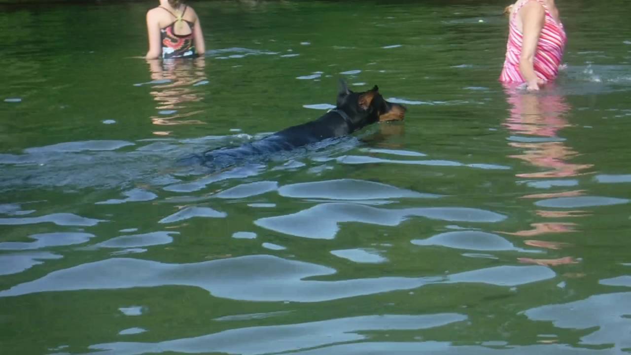 camera iphone 8 plus apk sophies first swim