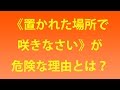 《置かれた場所で咲きなさい》が危険な理由とは？