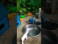 Mini hand pump project water for supply motor drinks Polar Bear.#waterpump #shorts #youtubeshorts