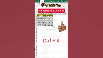 Adjust Rows & Columns in excel by Shortcut keys #shorts #excel