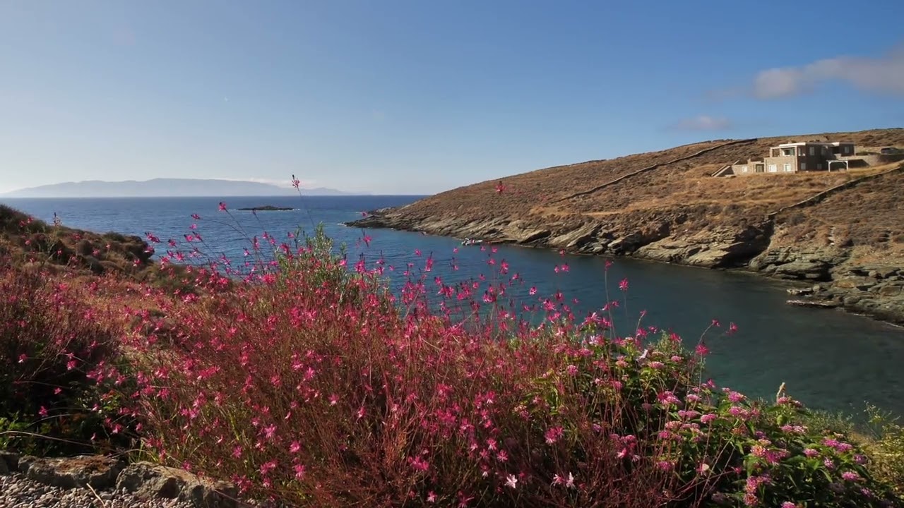 Guarda Ocean coast, rocks, slope with flowers, ocean music, natural music su YouTube Guarda Ocean coast, rocks, slope with flowers, ocean music, natural music su YouTube