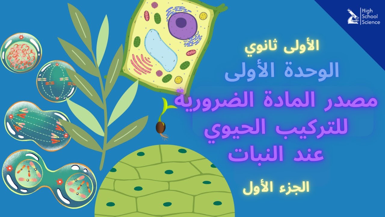 الأولى ثانوي علمي | مصدر المادة الضرورية عند النبات | 🔷 أروع شرح ✨ (الجزء الأول)