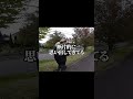 記憶だけを頼りに幻の喫茶店を探して旅に出ました #だいにのサブ #youtuber