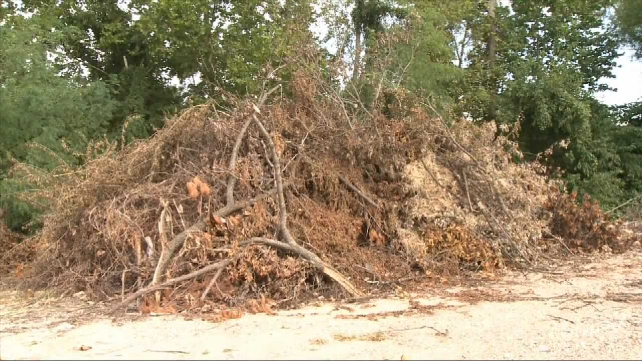 Jackson County To Recycle Yard Waste For Residents YouTube
