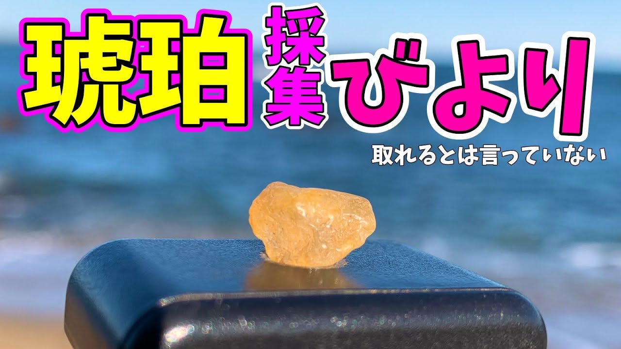 【鉱物採集💎🌟】朝日色の石！琥珀探し（鉱物系Vtuber）＃鉱物 ＃宝石 ＃Vtuber ＃アウトドア ＃science ＃採集 ＃海 ＃旅行 #化石