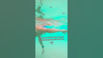 Thumbnail of The JAWS theme song but....