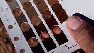 Soil color using Munsell Soil Color Charts
