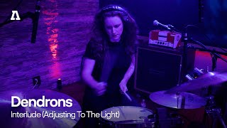 Dendrons - Interlude (Adjusting To The Light) | Audiotree Live
