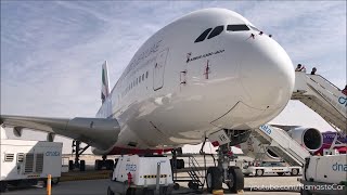 Airbus A380- 3700 Crore India Exclusive Real-Life Review