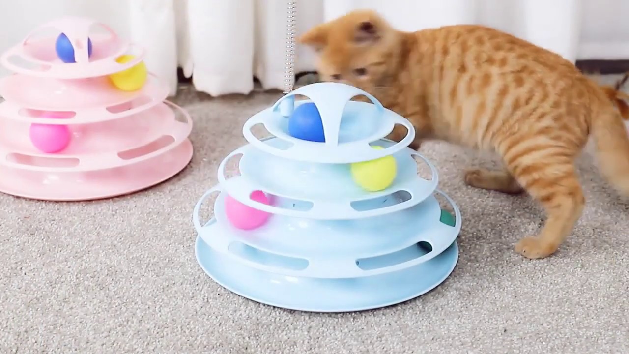 Cat Using A Turntable Cat Turntable - YouTube