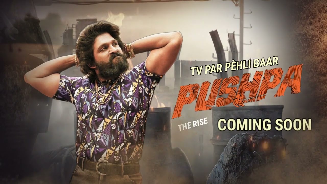 PUSHPA THE RISE COMING SOON ON DHINCHAAK T  V