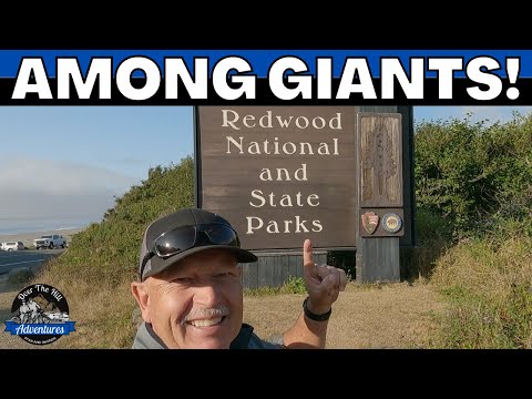 Video: Prairie Creek Redwoods State Park: de complete gids