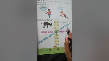 Class 4 Std 4 Chapter 7 Jugs & Mugs  part 2