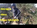 3D Rigging I Abtragen eines Pinus Sylvestris I Die Klettereinheit