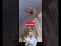شجاعه بطه قران كريم مع الذاكرين