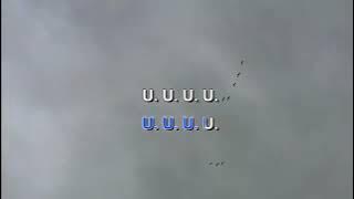 PALSU THE FLY Indonesian Malay Karaoke