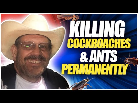 KILLING COCKROACHES & ANTS PERMANENTLY in as little as 10 days.