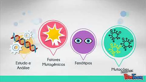 Como é constituído o genoma humano?