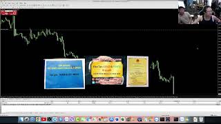 TỔNG KẾT FOREX