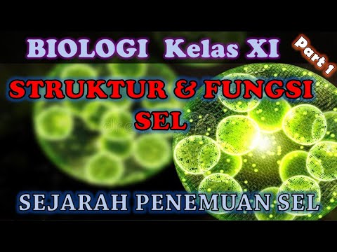 BAB 1 : STRUKTUR & FUNGSI SEL_Part1_Sejarah Penemuan Sel / BIOLOGI XI IPA SMA