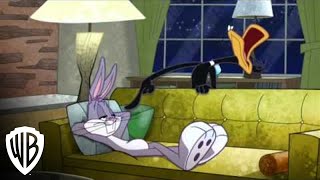 The Looney Tunes Show | Season 1, Volume 3: Trailer | Warner Bros. Entertainment The Looney Tunes Show | Season 1, Volume 3: Trailer | Warner Bros. Entertainment