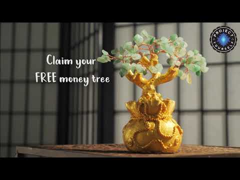 Special Promo: Season Of Abundance Bonsai Money Tree