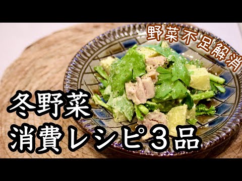 【冬野菜消費レシピ３品】野菜中心の作り置きたち！旬の野菜はコスパも良し◎