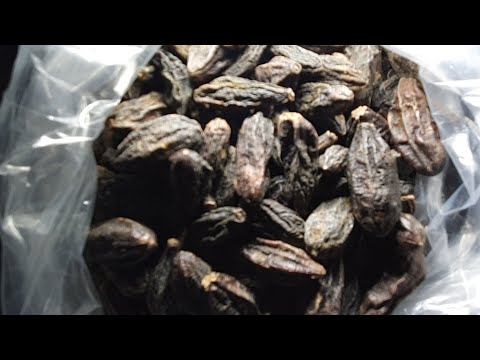 الاهليلج الطبيعي ليس فقط تتشطفي به بل ايضا للطحال و المصارين و البشرة عجب عجاب