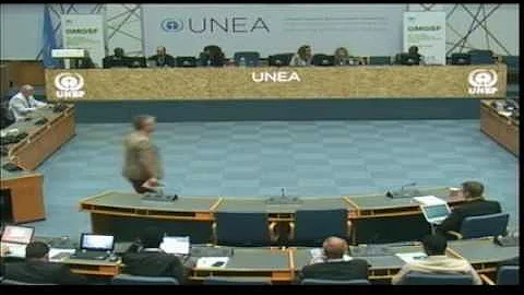 Global Major Groups And Stakeholders Forum -  Parallel Working Group 1