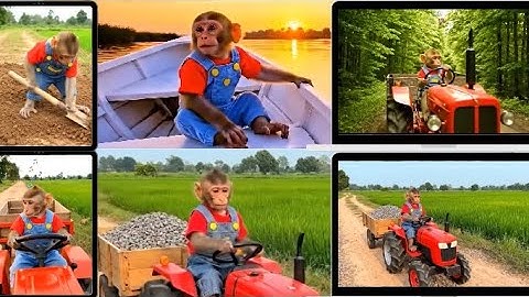 Monkey Nana drives a tractor to find the Missing Duckling and an Unexpected adventure at the farm 