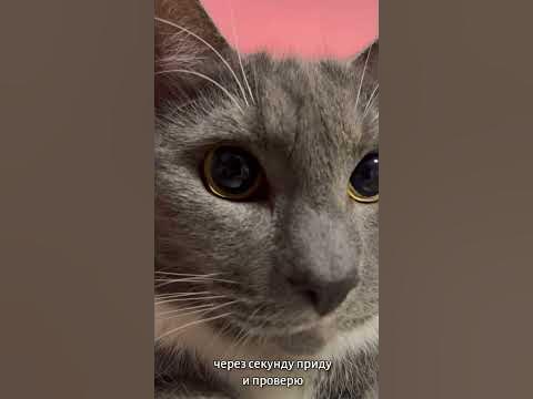 ВСТАВАЙ! - YouTube