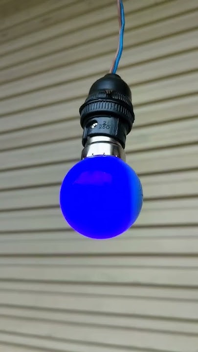 what-happened-to-this-bulb-why-is-it-hanging-super-natural-no