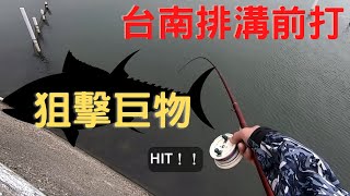 《前打》台南大排釣遊狙擊大物#前打#大排溝也能釣到魚#這個小寶哥#愛釣魚#看看台南有什麼魚
