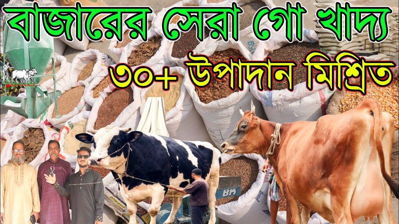 মাত্র ৩৫ টাকা কেজি দরে ৩৭ কেজির বস্তা ১৩০০ টাকা দরে সারাদেশে বিক্রি। দেশের ১ নম্বর রেডী মিক্সড খাদ্য