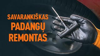 Pakeisti Variklio oro filtras VW Passat B5.5 Variant - nemokami vaizdo pamokomis