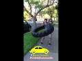 Incredible Hula Hoop with a Tire! / Increble Hula Hoop con una llanta de camin! #Bocho Amarillo