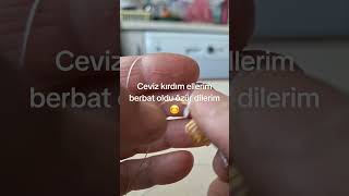 21 Eylül 2026
