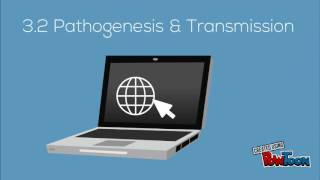 Chikungunya Fever screenshot 5