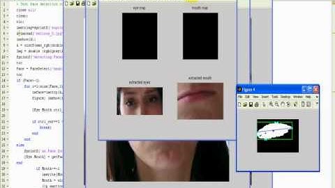 Fully Automatic Recognition of the Temporal Phases of Facial Actions