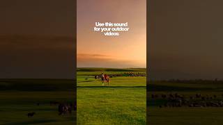 Use this sound for your outdoor videos 🌄 #wildspirit #musicforvideos