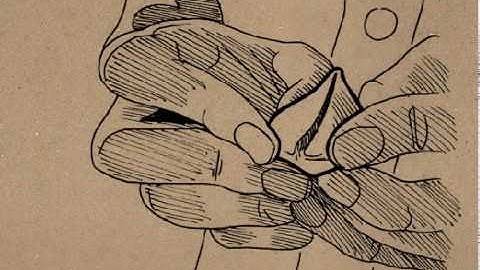 3LM Website Flash Intro