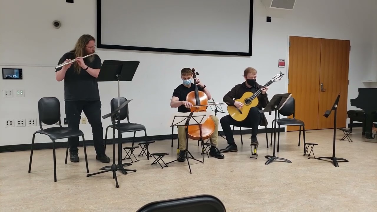 The Forest Trees Were Pens