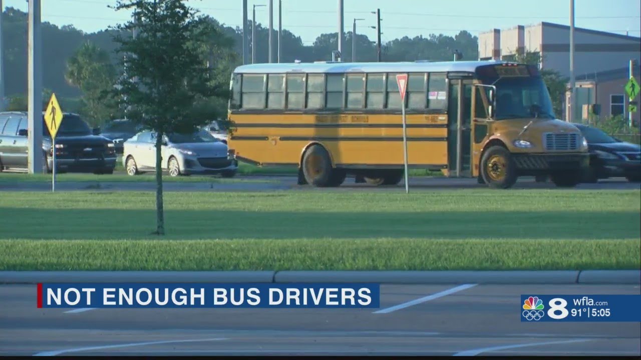 Pasco County Schools facing largest bus driver shortage YouTube