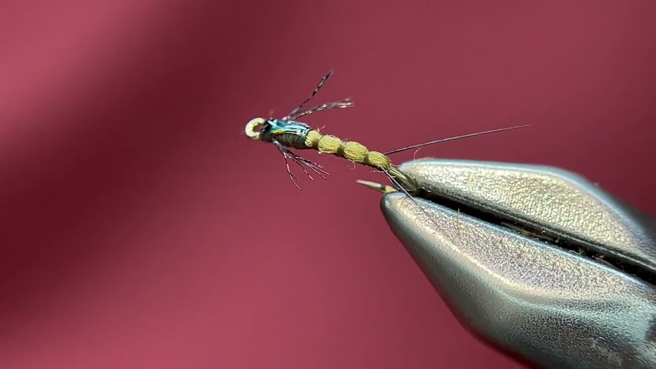 Wooly Baetis Variant