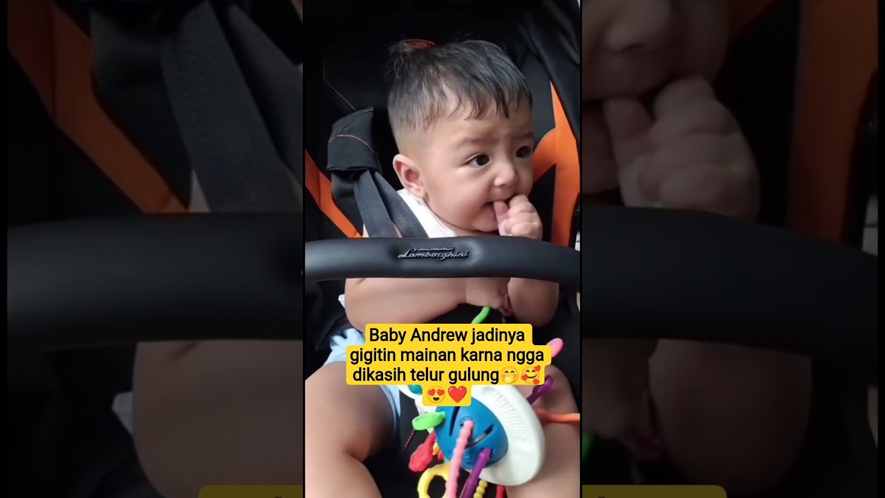 baby Andrew gigit telur gulung❎ gigit mainan✅🤭🥰 