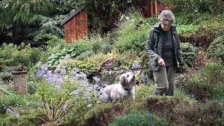 Drawn into the Garden  a short documentary