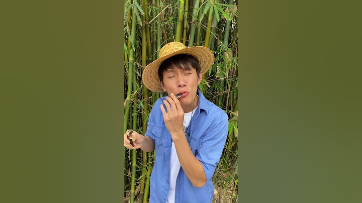 Have you ever eaten snapping turtles? | Chinese Mountain Forest Life and Food #Moo Tik Tok#FYP