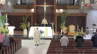 Daily Mass